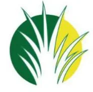 amazon-mudas-mudas-tifton-85-favicon-quem-somos