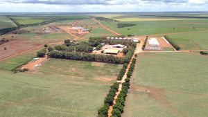 Reportagem Tecnologias inovadoras: Pecuária de baixo carbono já é realidade no Mato Grosso 