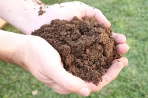 O Podder da matéria orgânica no solo