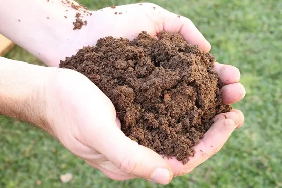O Podder da matéria orgânica no solo